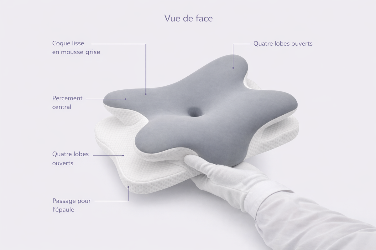 Quatre lobes ouverts